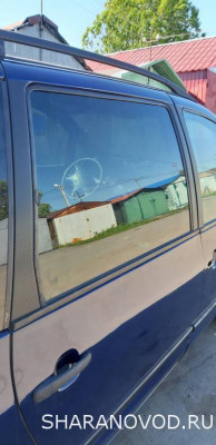 Просто мой Шарик  - 20220607_161153.jpg