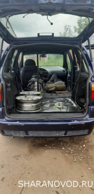 Просто мой Шарик  - 20220710_122914.jpg