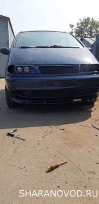 Просто мой Шарик  - 20230614_152732.jpg