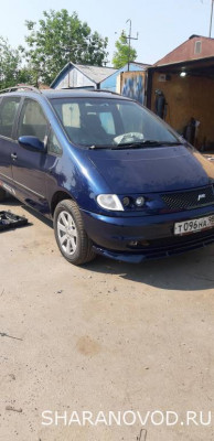 Просто мой Шарик  - 20230615_102958.jpg