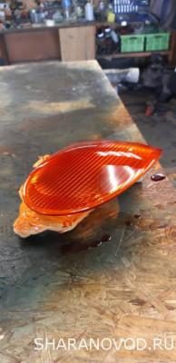 Просто мой Шарик  - 20230623_160857.jpg