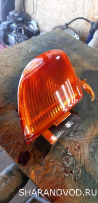 Просто мой Шарик  - 20230623_160850.jpg