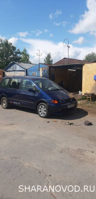 Просто мой Шарик  - 20230625_110700.jpg