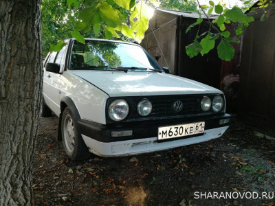 Просто мой Шарик  - 2019-08-30 17-38-21.JPG