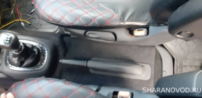 Просто мой Шарик  - 20230826_131154.jpg