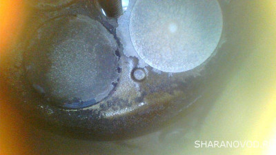 Замена Маслосьемных. Обязательно снимать голову или можно через клапанную крышку - 2023-06-21 19-07-36_1687409821427.JPG