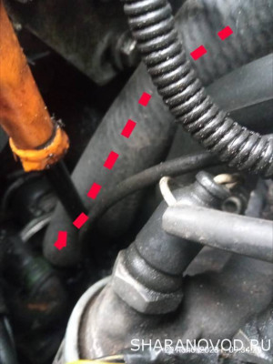 Помощь новичкам не знаем в какую ветку писать - пишем сюда  - Polish_20231129_094611980.jpg