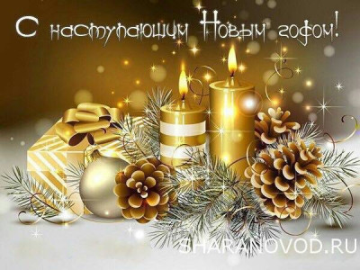 Поздравлялка - IMG_5397.jpeg