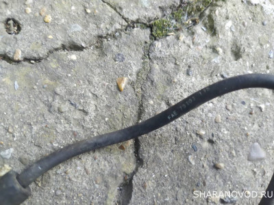 Датчик коленвала ADY - IMG_20240525_144224.jpg