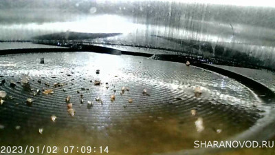 Сигнализатор низкого давления масла - IMG_20240915_215450_493.jpg