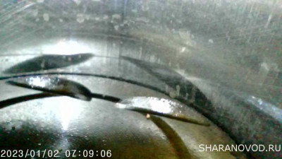 Сигнализатор низкого давления масла - IMG_20240915_215450_635.jpg