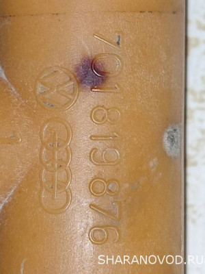 Сопливит на тройнике - IMG_20241007_174133.jpg