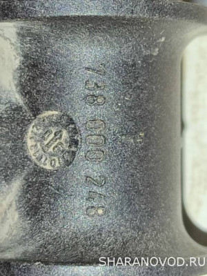 Сопливит на тройнике - IMG_20241007_174209.jpg