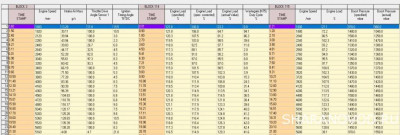 Логи бензиновых двигателей снятие и чтение  - LOG-02-003-114-115.jpg