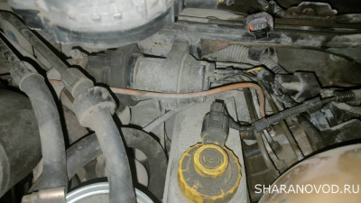 Помощь новичкам не знаем в какую ветку писать - пишем сюда  - IMG20250308200319.jpg