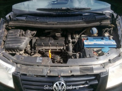 Продам шаран - BvmxNlRoWxc.jpg