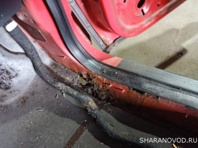 Алая Ева-Мария. Езжу, обслуживаю, забочусь. - IMG_20250531_131959_126.jpg