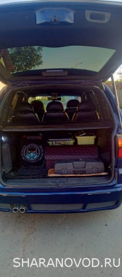 Просто мой Шарик  - IMG_20250805_063856_083.jpg