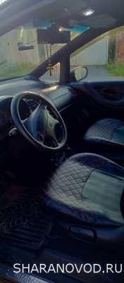 Просто мой Шарик  - IMG_20250805_063919_827.jpg