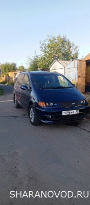 Просто мой Шарик  - IMG_20250805_064003_448.jpg