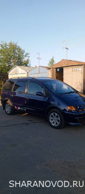 Просто мой Шарик  - IMG_20250805_064011_704.jpg