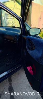 Просто мой Шарик  - IMG_20250805_064055_134.jpg