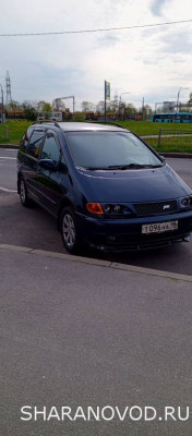 Просто мой Шарик  - IMG_20250518_085256_183.jpg