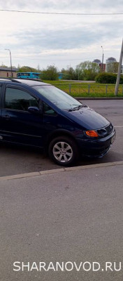 Просто мой Шарик  - IMG_20250518_085305_999.jpg