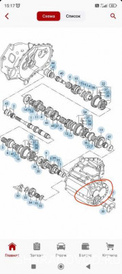 Постукивания в кпп - IMG_20250922_151804.jpg
