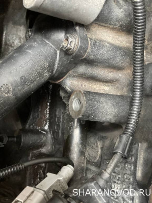 Помощь новичкам не знаем в какую ветку писать - пишем сюда  - IMG_8563.jpeg