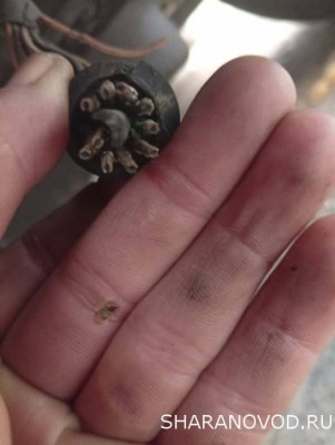 вот она разваленая фишка