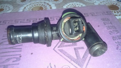 Разбор Шаран 96 г - DSC_0133.JPG