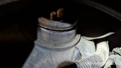 Трещины на герметике - PXL_20251020_155533498.jpg