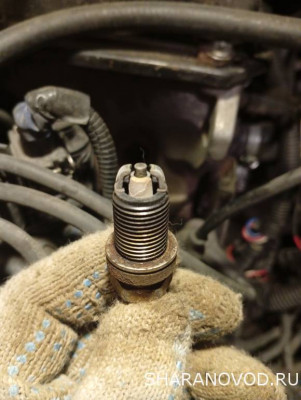 Помощь новичкам не знаем в какую ветку писать - пишем сюда  - 1768571694664.jpg