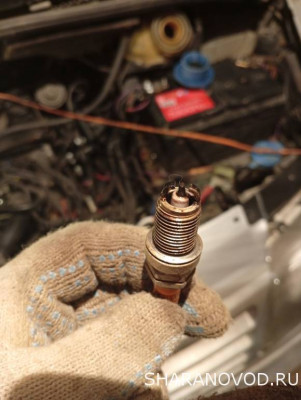 Помощь новичкам не знаем в какую ветку писать - пишем сюда  - 1768571694653.jpg