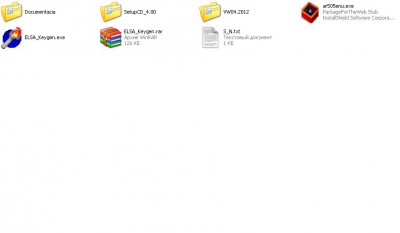 Руководство по ремонту и обслуживанию автомобилей ELSA - Безымянный.JPG