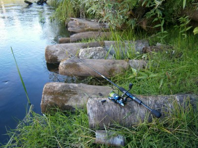 Шарановоды, давайте знакомиться  - 1-P7260045.JPG