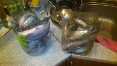 Слева моя, справа батина