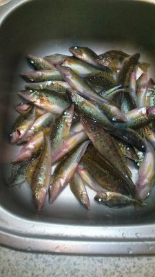 Шарановоды о рыбалке. - 2016-01-09-025.jpg