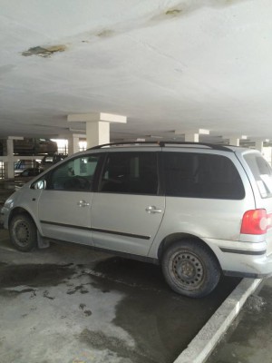 Продам самый лучший Шарик  - IMG_1681.JPG