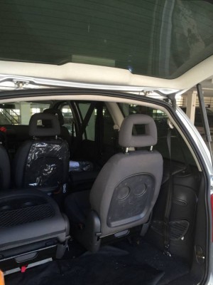 Продам самый лучший Шарик  - IMG_1685.JPG