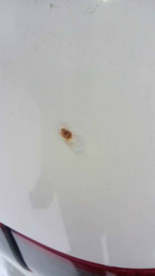 вопрос: ржавчина на кузове - IMG_20160131_145651.jpg