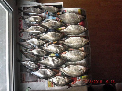 Шарановоды о рыбалке. - CIMG0020.JPG