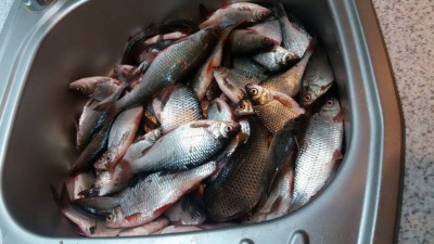 Шарановоды о рыбалке. - рыбка.jpg