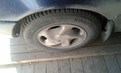 разбираю шарана - 20160507_113115[1].jpg