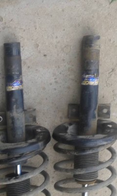 разбираю шарана - 20160619_151446[1].jpg