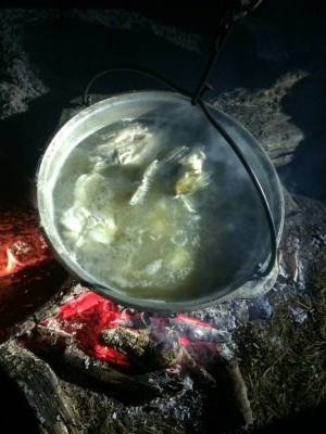 Шарановоды о рыбалке. - image.jpeg