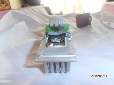 еж в разрезе