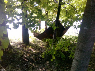 Шарановоды о рыбалке. - IMG_20160821_164823.jpg