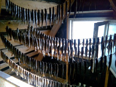 Шарановоды о рыбалке. - IMG_20160824_183343.jpg